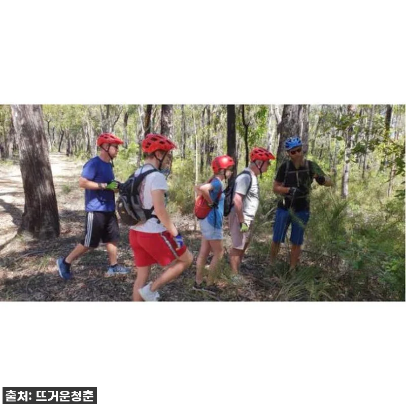 호주 시드니 블루마운틴: 가이드 전자 관련 이미지 2