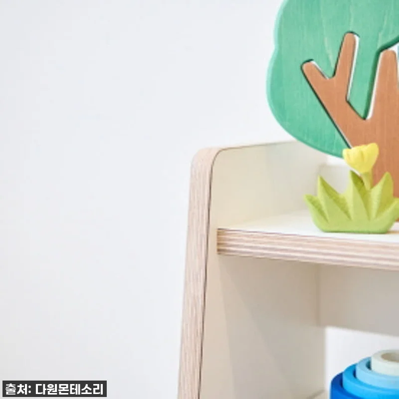 다원몬테소리 피규어장 프라모델 몬테소 관련 이미지 2