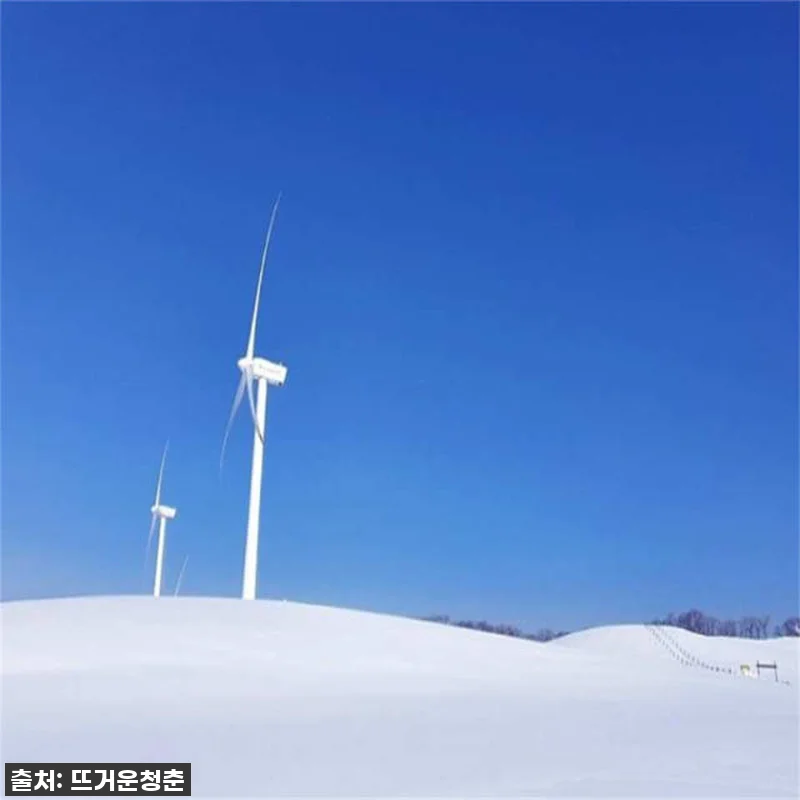 한국 서울 강원도 비발디스키장, 원대 관련 이미지 4