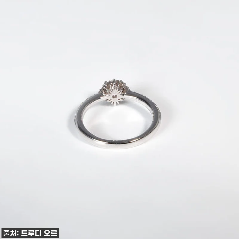 3부 5부 천연 다이아 카멜리아 동백 관련 이미지 7
