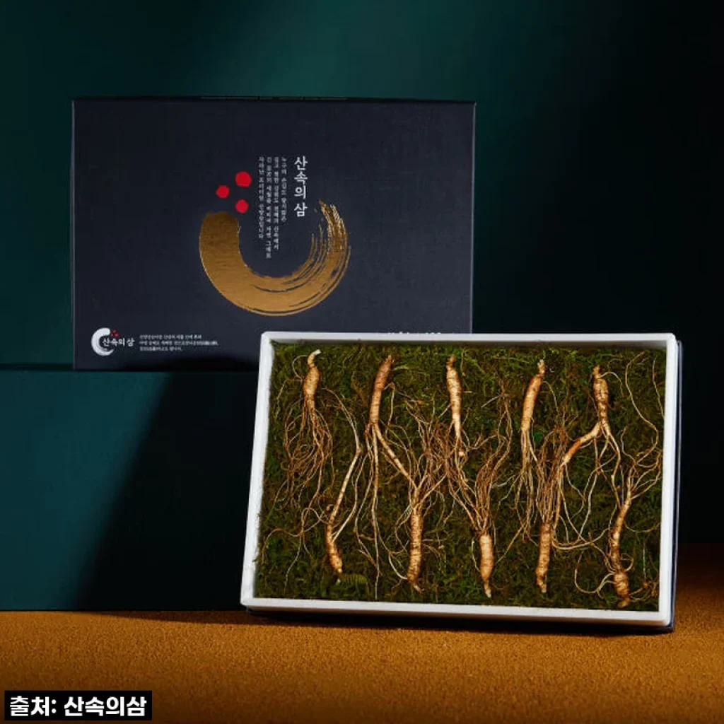 환절기 건강 지킴이! 실속형 산속의삼 6년근 산양산삼 직접 먹어본 솔직 후기!