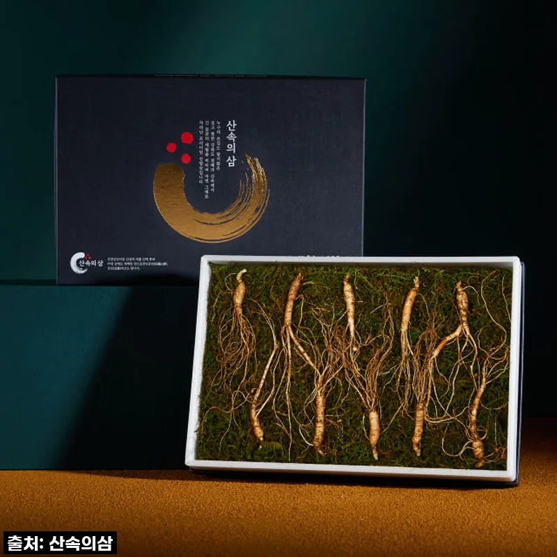 환절기 건강 지킴이! 실속형 산속의삼 6년근 산양산삼 직접 먹어본 솔직 후기!