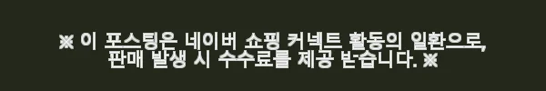 웨이사이드 스쿨 DVD 2집 사용후기: 아이와 함께 즐거운 영어 학습 시간 4 이해관계문구