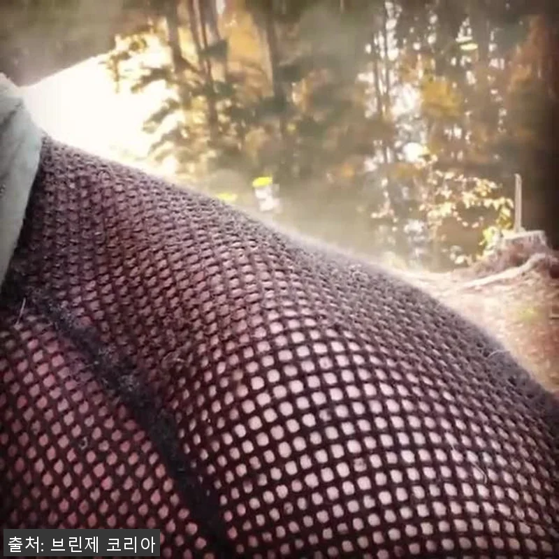 브린제 슈퍼써모 기능성긴팔 여성용 네 관련 이미지 3