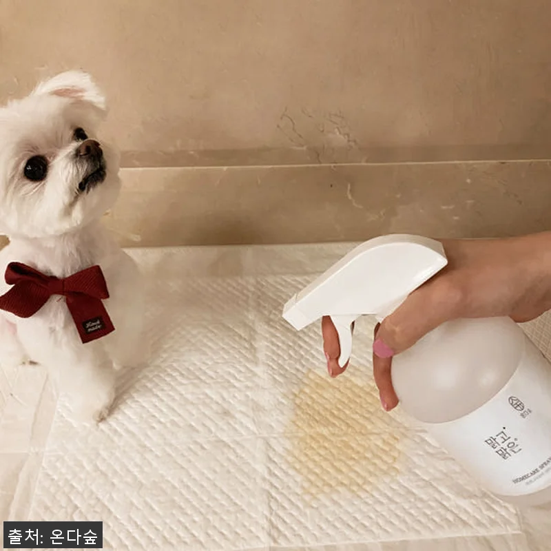 아토피등록 편백나무원액100% 피톤치 관련 이미지 4