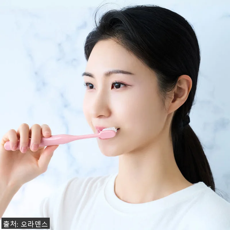 오라덴스 팔레트칫솔 파스텔 소프트 1 관련 이미지 6