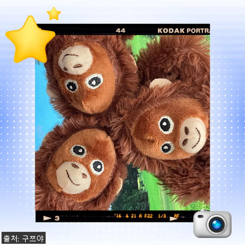 구쯔야 초대형 고숭이 오랑우탄인형 9 관련 이미지 5