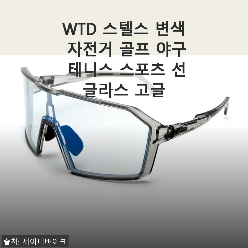 WTD 스텔스 변색 스포츠 선글라스 사용 후기: 다양한 야외 활동에 딱 맞는 아이템