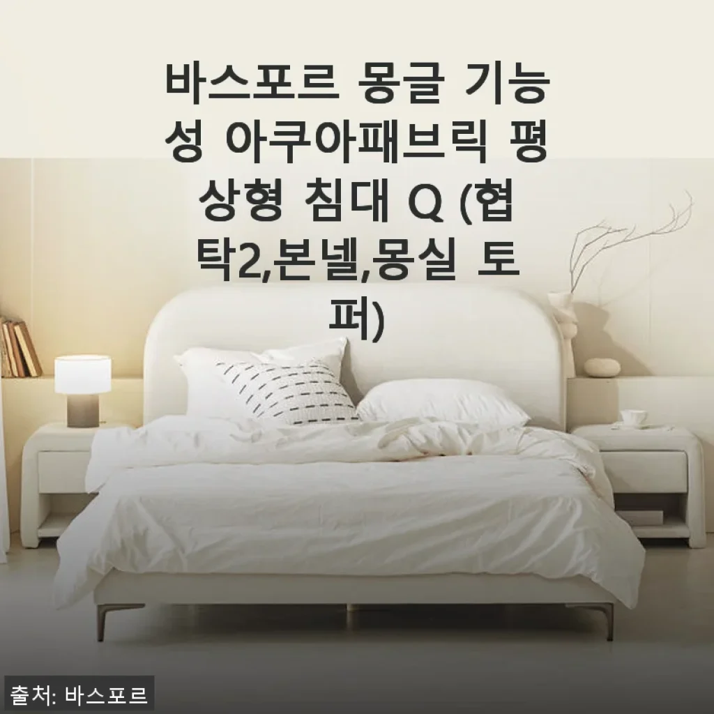 바스포르 몽글 기능성 아쿠아패브릭 평상형 침대 Q 사용후기 및 상세 소개