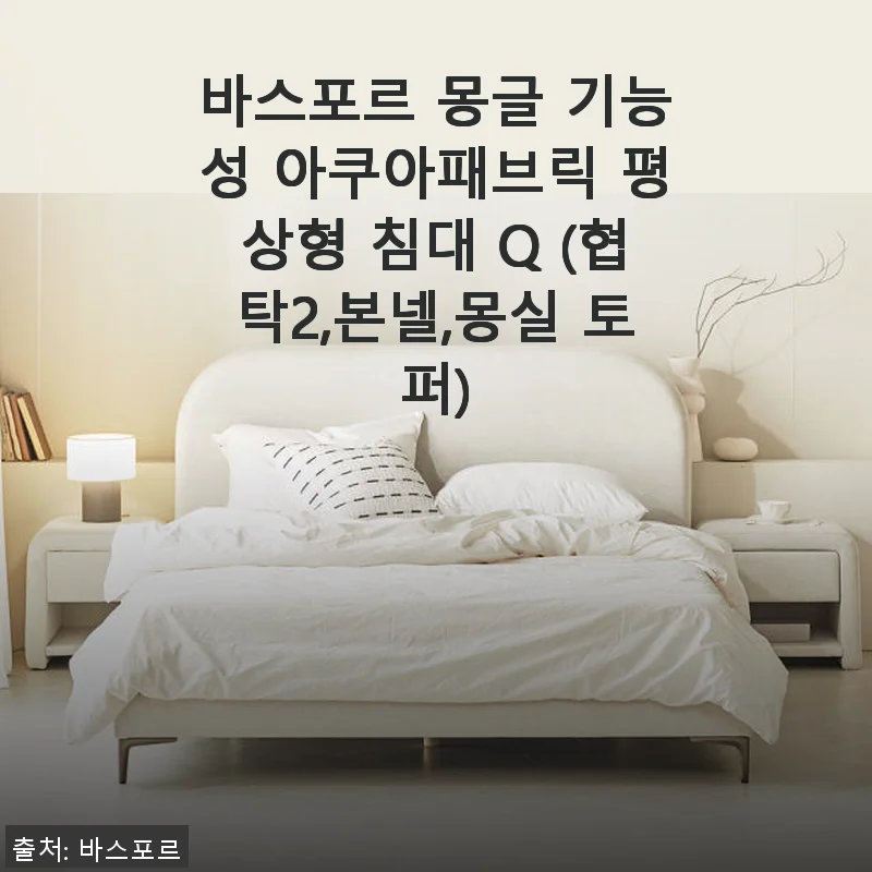 바스포르 몽글 기능성 아쿠아패브릭 평상형 침대 Q 사용후기 및 상세 소개