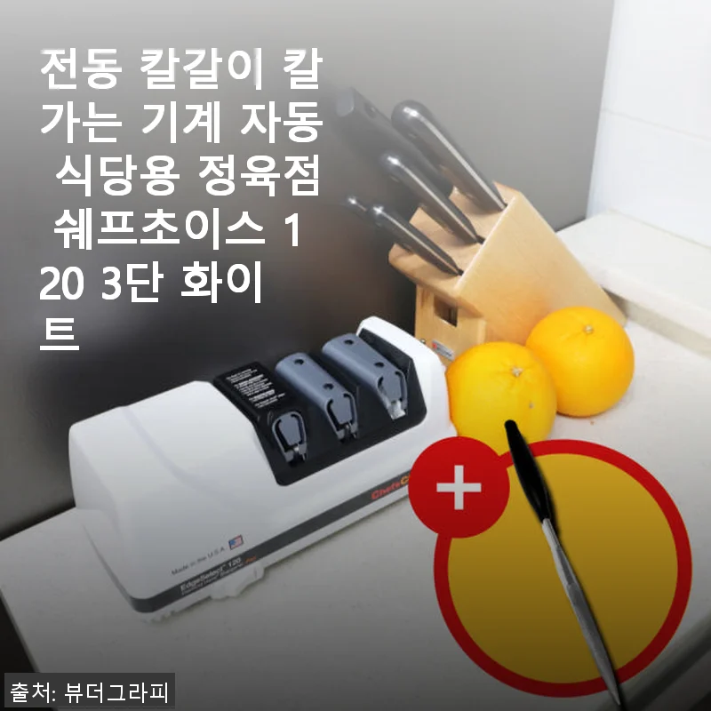 전동 칼갈이 칼가는 기계 자동 식당용 정육점 쉐프초이스 120 3단 화이트 사용후기