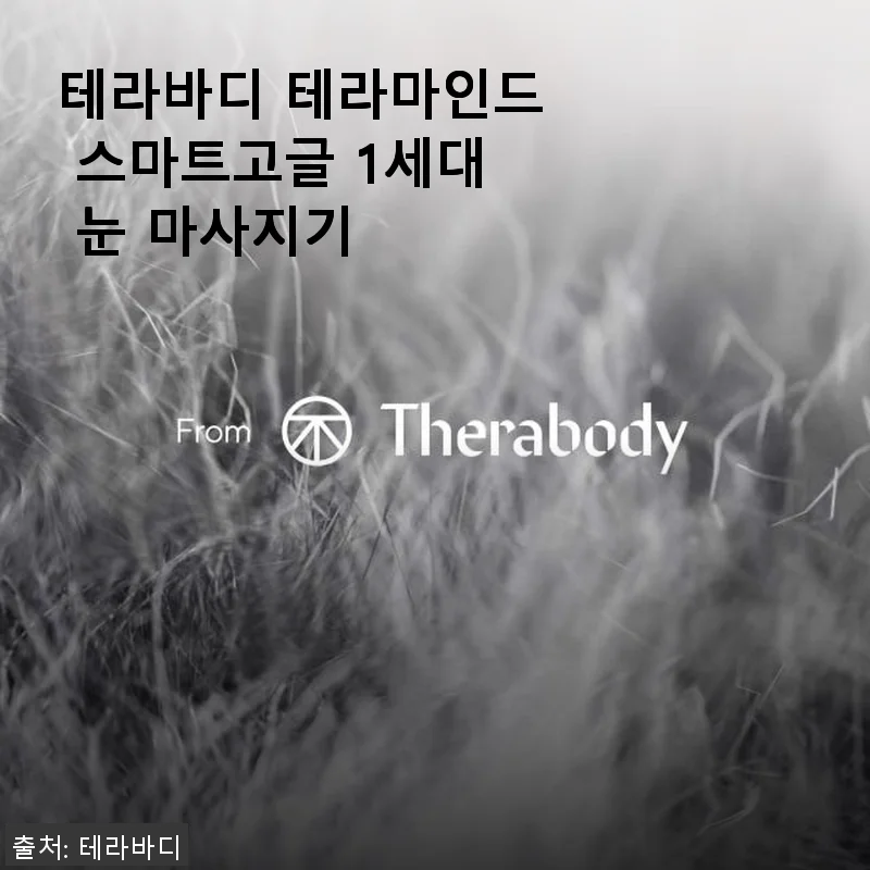테라바디 테라마인드 스마트고글 1세대 눈 마사지기 사용후기