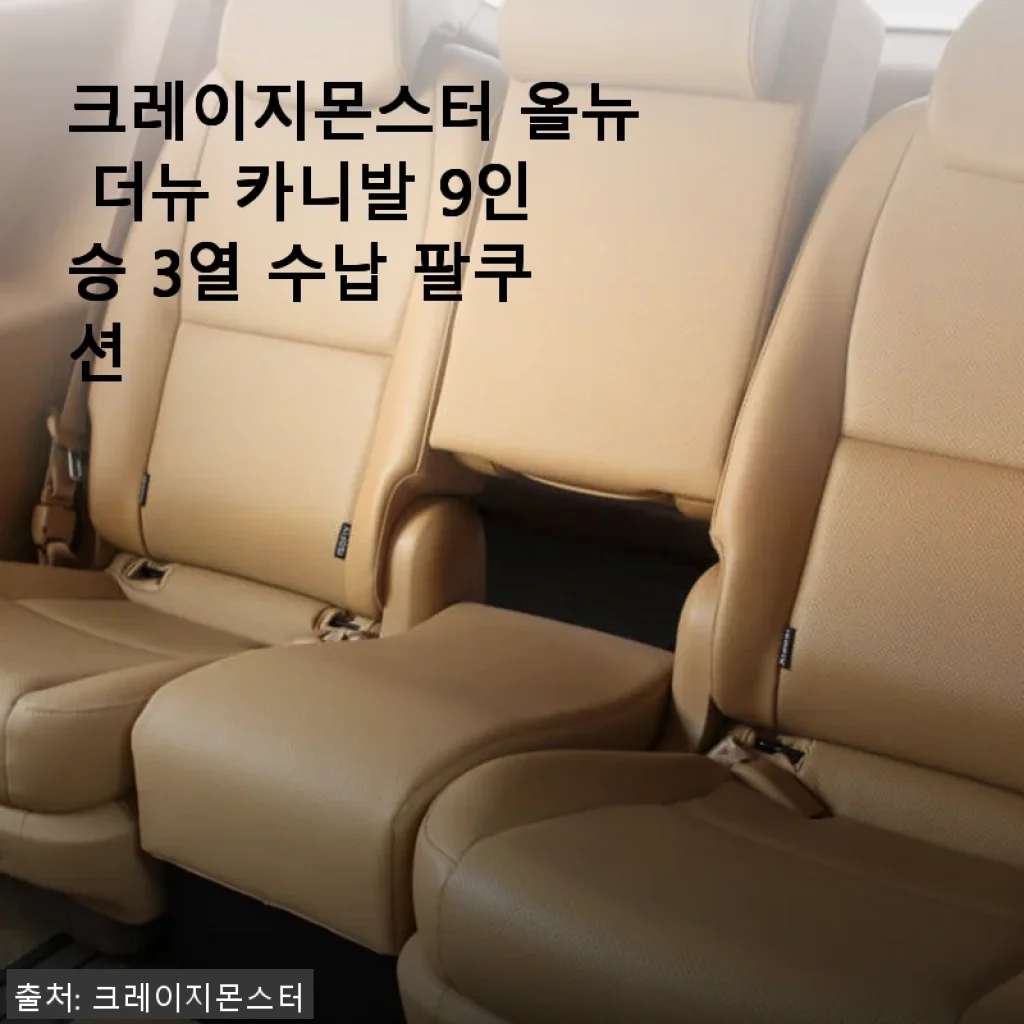 크레이지몬스터 올뉴 더뉴 카니발 9인승 3열 수납 팔쿠션 사용후기