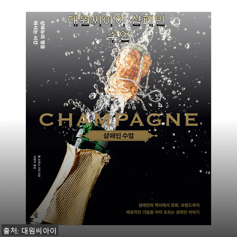 대원씨아이 샴페인 수업 구매 후기: 감성 가득한 스토리와 매력적인 일러스트가 돋보이는 작품