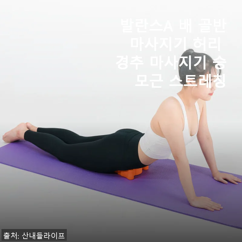 발란스A 배 골반 마사지기 사용후기: 등산 후 피로 회복에 딱 맞는 마사지기