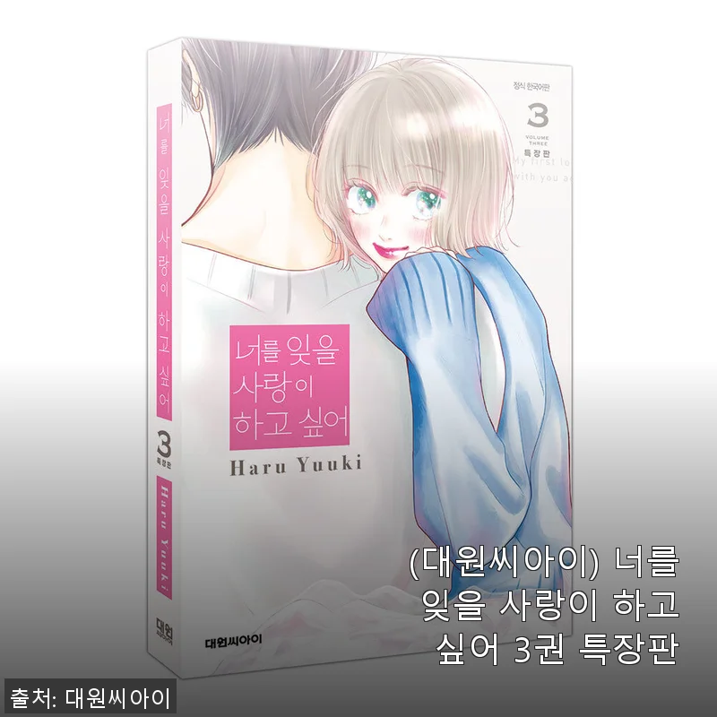 ‘너를 잊을 사랑이 하고 싶어 3권 특장판’ 직접 사용 후기와 제품 소개