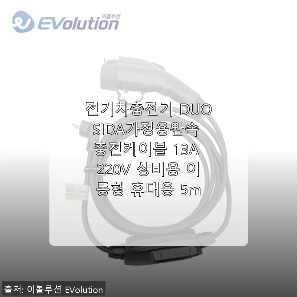 전기차충전기 DUOSIDA 가정용완속 충전케이블 13A 220V 사용후기