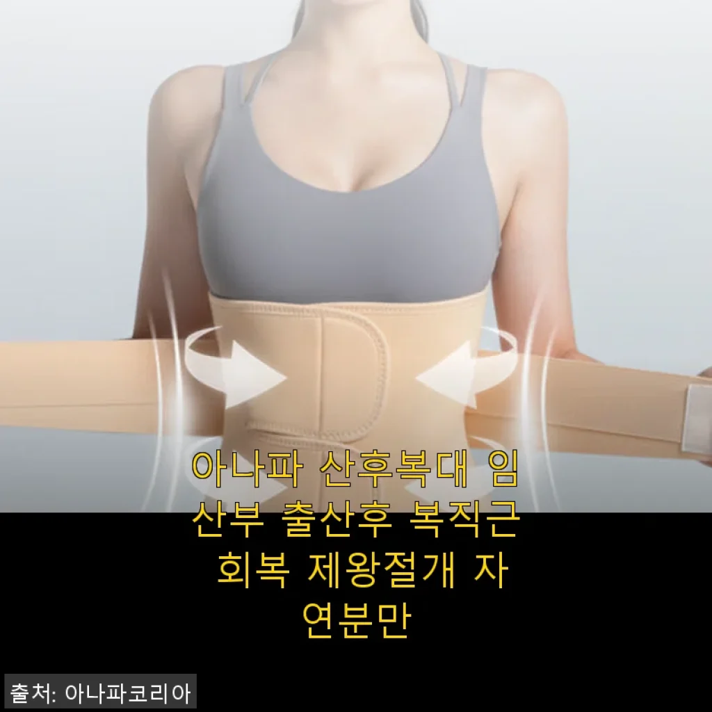 아나파 산후복대 사용후기: 제왕절개 산모로서 직접 써본 솔직한 경험