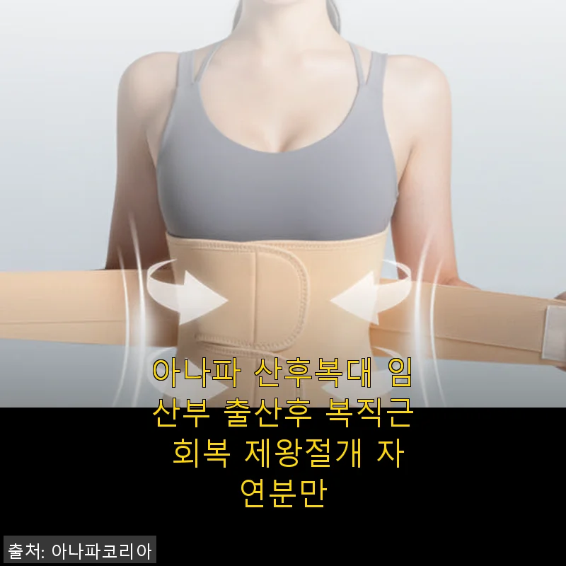 아나파 산후복대 사용후기: 제왕절개 산모로서 직접 써본 솔직한 경험