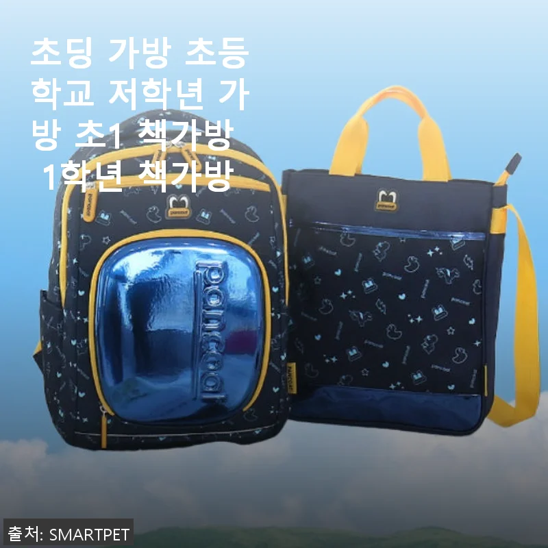 초딩 가방 초등학교 저학년 가방 초1 책가방 1학년 책가방 사용 후기