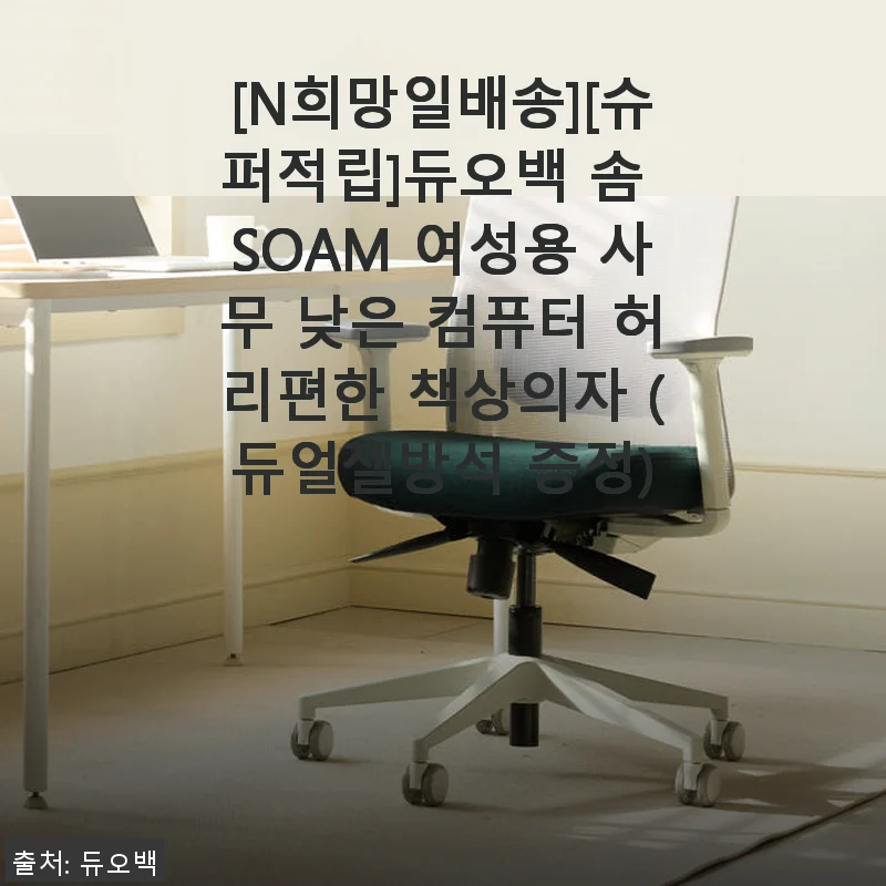 듀오백 솜 SOAM 여성용 사무 낮은 컴퓨터 허리편한 책상의자 사용후기