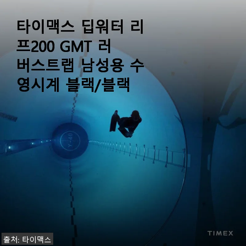 타이맥스 딥워터 리프200 GMT 러버스트랩 남성용 수영시계 사용후기