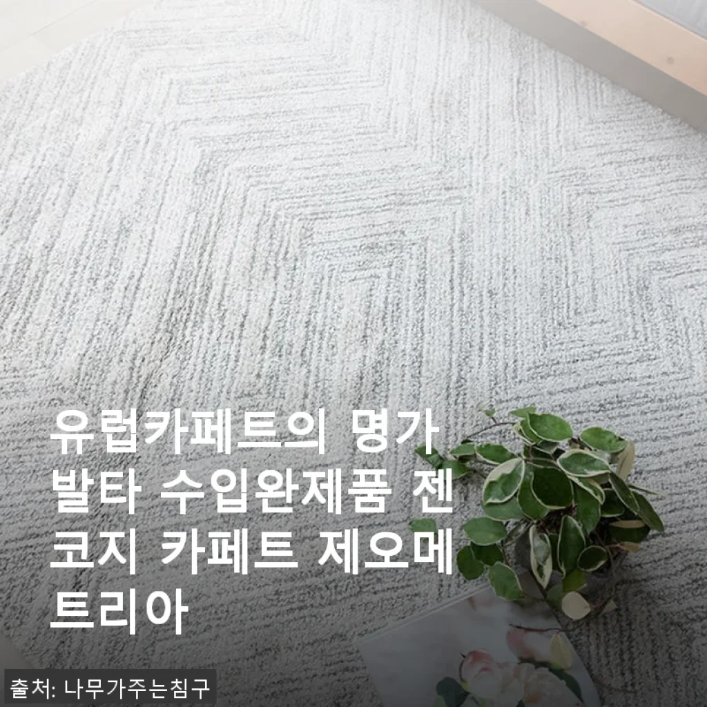 발타 젠코지 제오메트리아 카페트 사용후기, 집안 분위기가 확 달라졌어요