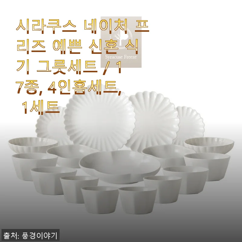 시라쿠스 네이처 프리즈 17종 4인홈세트, 신혼집에 딱 맞는 예쁜 식기 사용후기