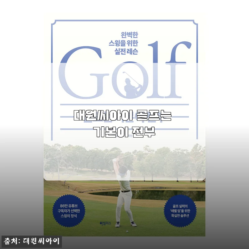 대원씨아이 골프 볼 사용후기 - 기본에 충실한 골프공의 선택