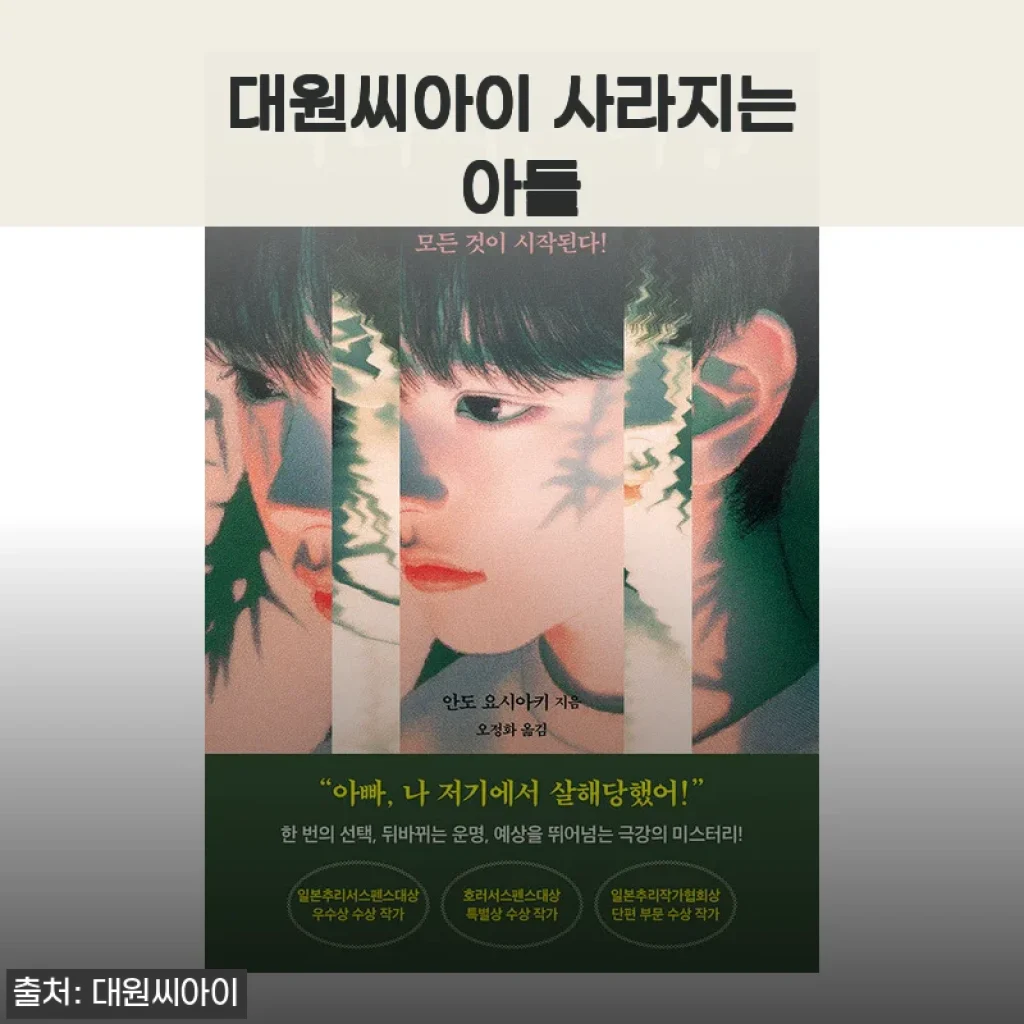 대원씨아이 사라지는 아들 만화책 사용후기와 상세 소개