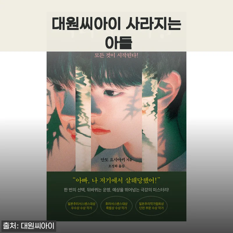 대원씨아이 사라지는 아들 만화책 사용후기와 상세 소개