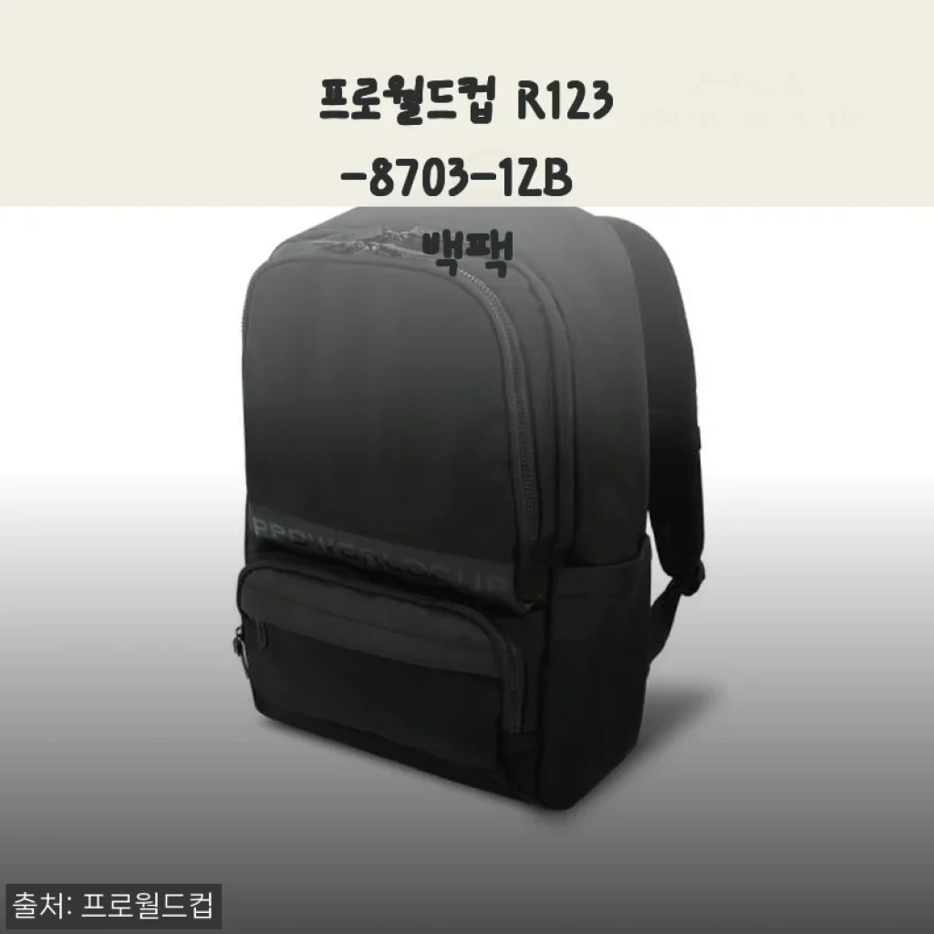 프로월드컵 R123-8703-1ZB 백팩 사용후기 및 제품소개