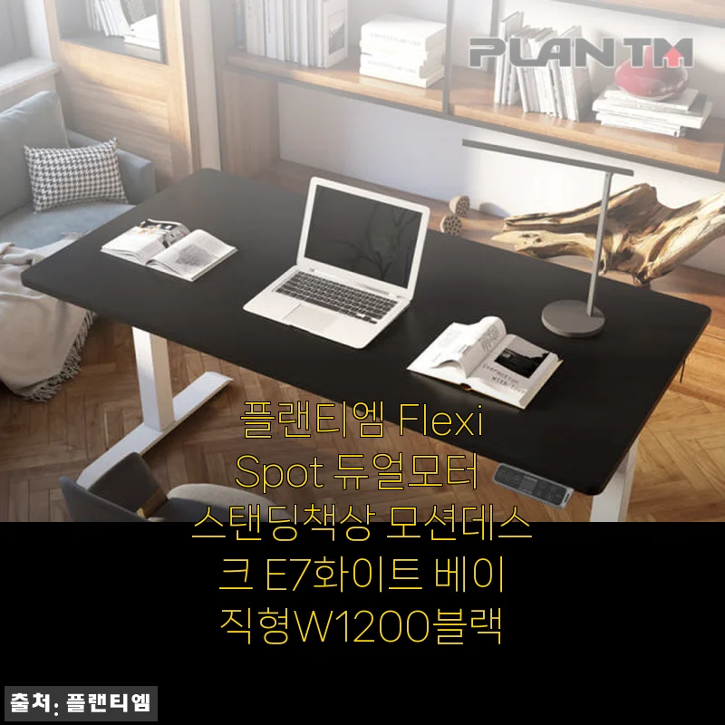 플랜티엠 FlexiSpot 듀얼모터 스탠딩책상 E7화이트 베이직형 사용후기