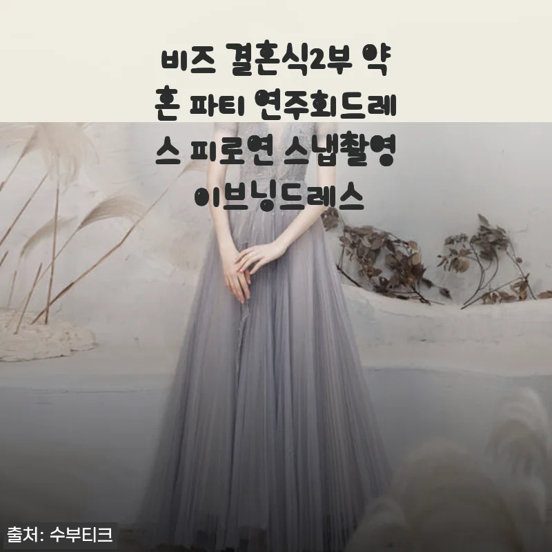 비즈 결혼식2부 약혼 파티 연주회드레스 사용후기
