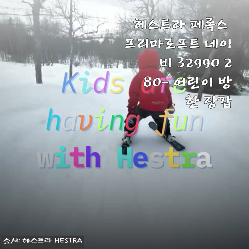 헤스트라 페록스 프리마로프트 네이비 32990 어린이 방한 장갑 사용후기