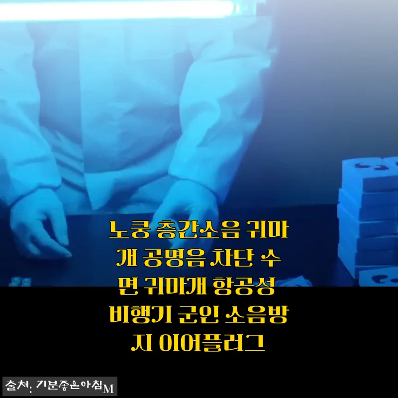 노쿵 층간소음 귀마개 사용후기: 진동음 차단과 편안함의 새로운 경험