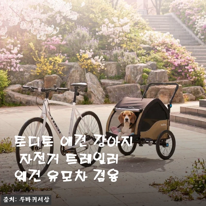 토디토 애견 강아지 자전거 트레일러 웨건 유모차 겸용 사용후기