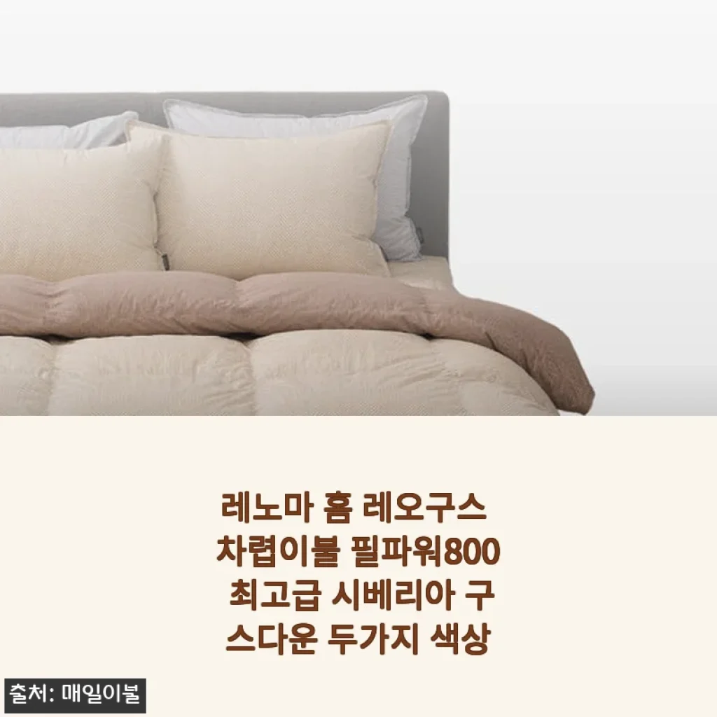레노마 홈 레오구스 차렵이불 필파워800 시베리아 구스다운 사용후기
