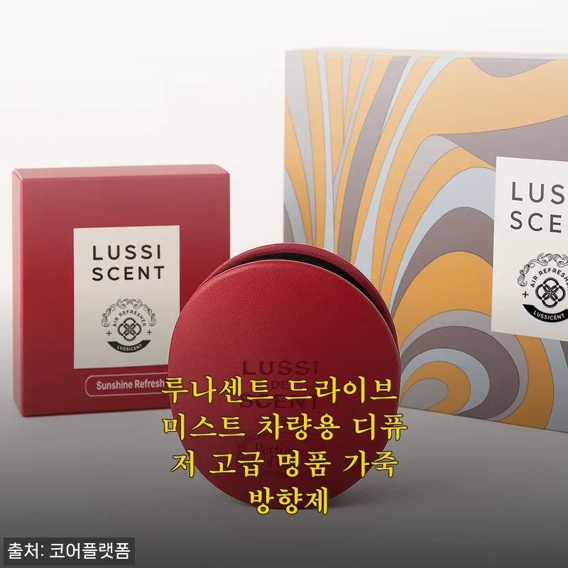 루나센트 드라이브 미스트 차량용 디퓨저 사용후기, 직접 써보니 만족스러운 명품 가죽 방향제