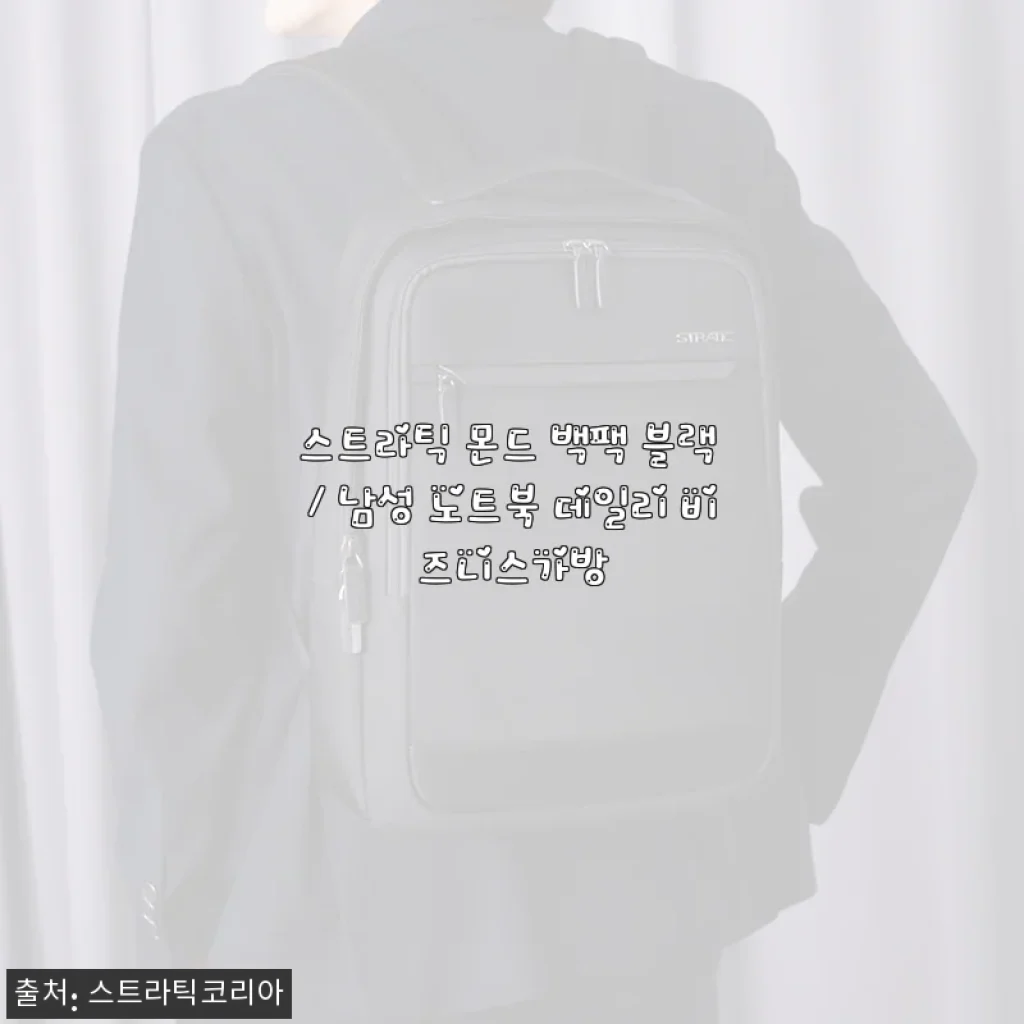 스트라틱 몬드 백팩 블랙 사용후기 및 추천
