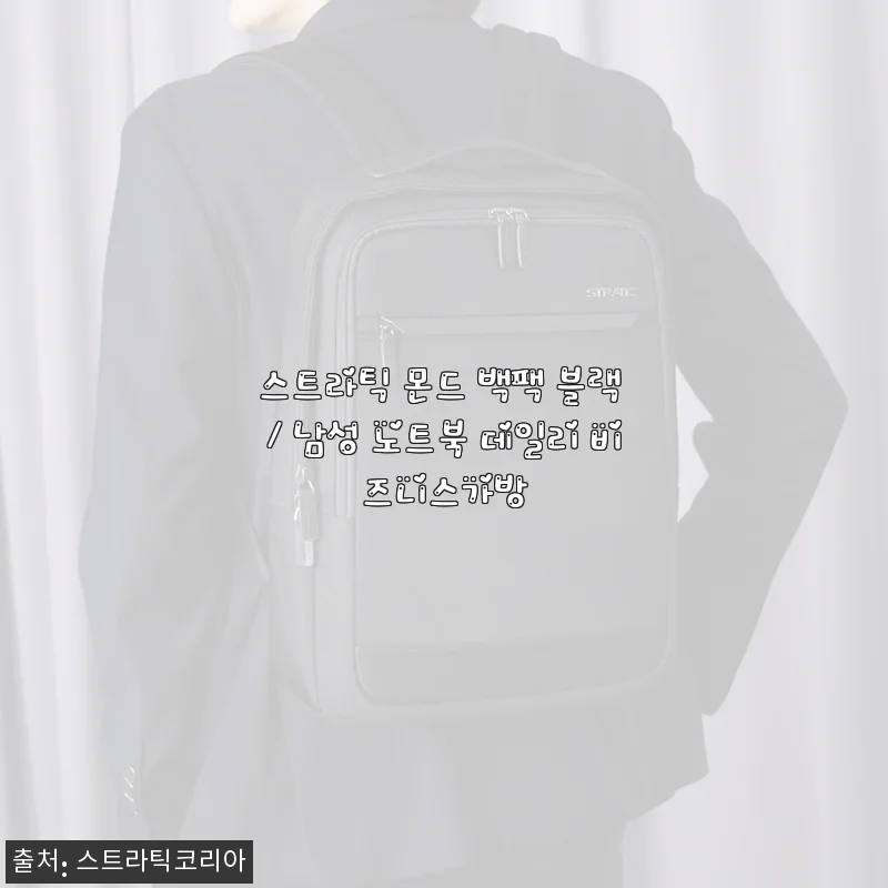 스트라틱 몬드 백팩 블랙 사용후기 및 추천