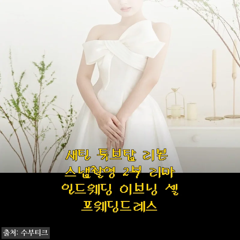 새틴 튜브탑 리본 스냅촬영 2부 리마인드웨딩 이브닝 셀프웨딩드레스 사용후기
