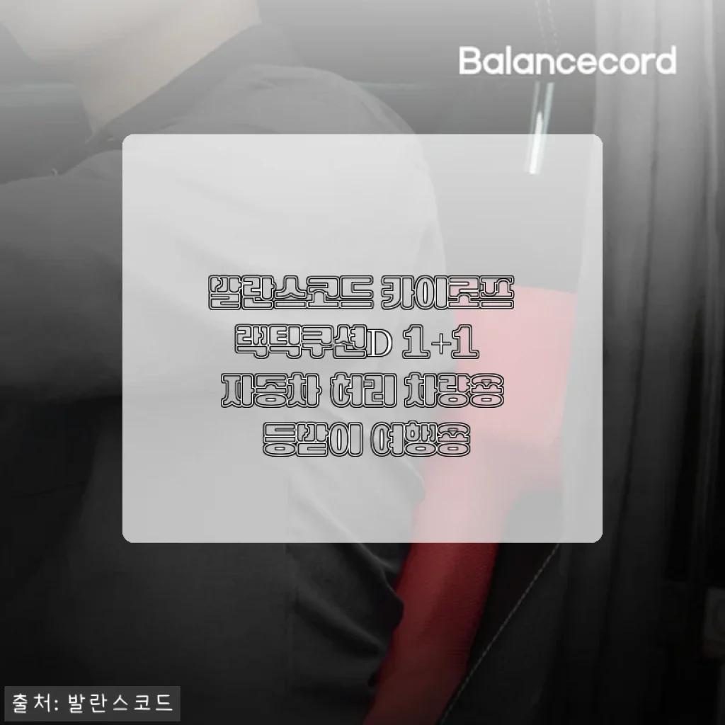 발란스코드 카이로프랙틱쿠션D 1+1 사용후기, 자동차와 사무실에서 허리 건강 챙기기