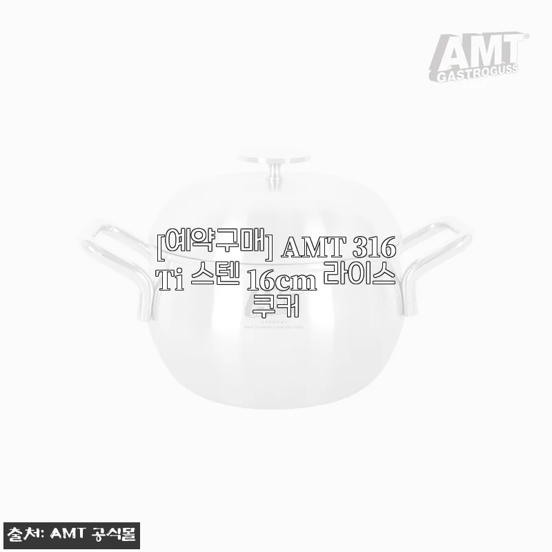 AMT 316Ti 스텐 16cm 라이스쿠커, 직접 사용해본 솔직한 후기