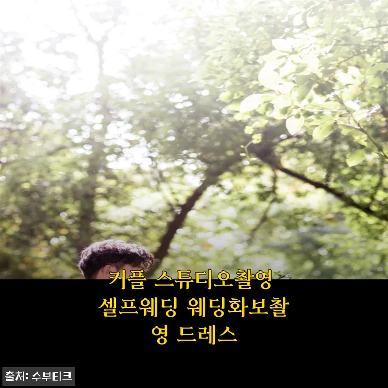 커플 스튜디오촬영 셀프웨딩 웨딩화보촬영 드레스 사용후기