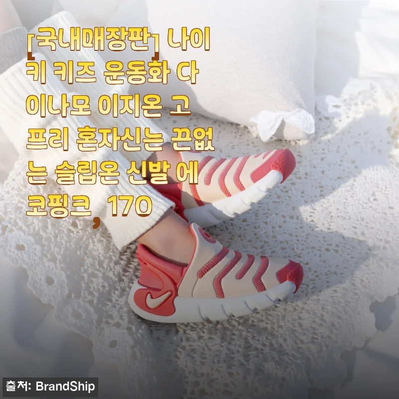 나이키 키즈 다이나모 이지온 고 프리 슬립온 신발 에코핑크 170 사용후기