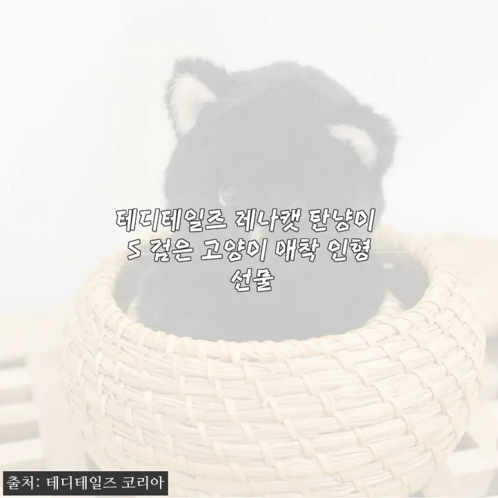 생일선물로 만난 테디테일즈 레나캣 탄냥이 S, 어른도 빠져드는 검은 고양이 인형