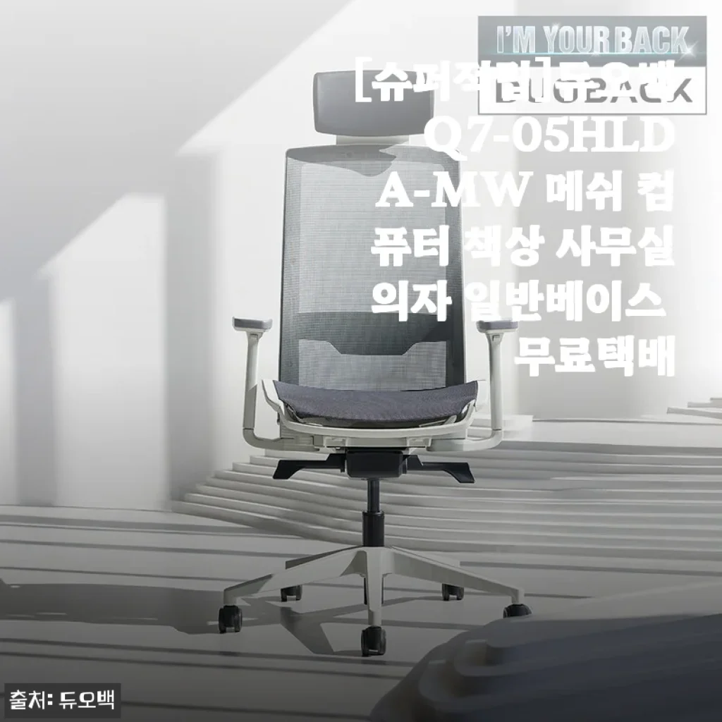 재택러의 허리 구세주, 듀오백 Q7 메쉬의자 2주 사용기 (솔직 담백)
