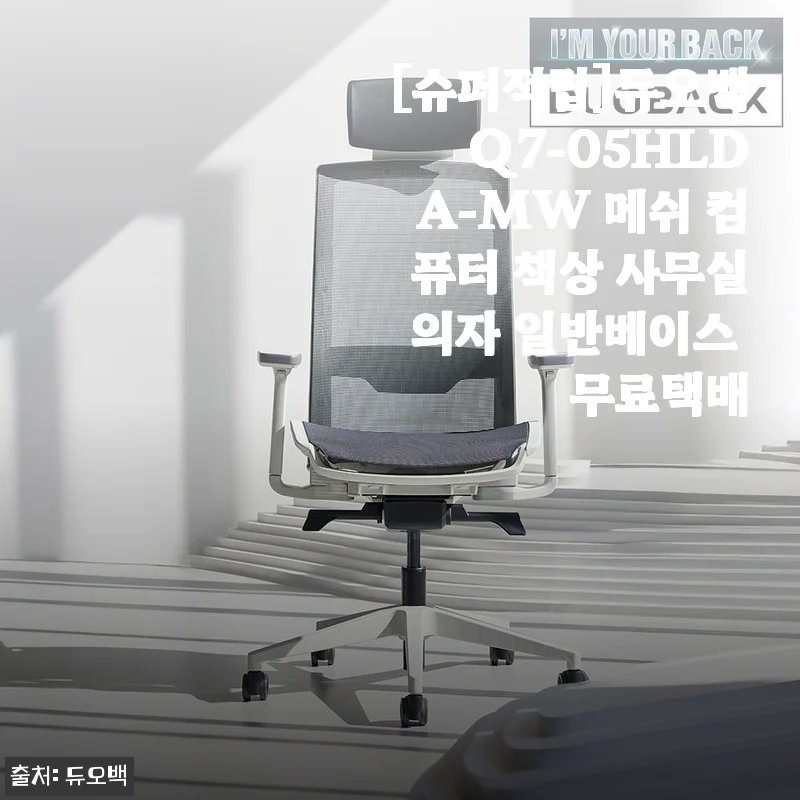 재택러의 허리 구세주, 듀오백 Q7 메쉬의자 2주 사용기 (솔직 담백)