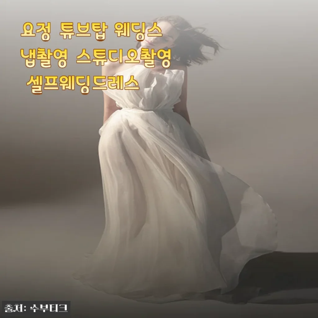 요정 튜브탑 셀프웨딩드레스, 입어보니 스냅촬영에 딱 맞더라고요